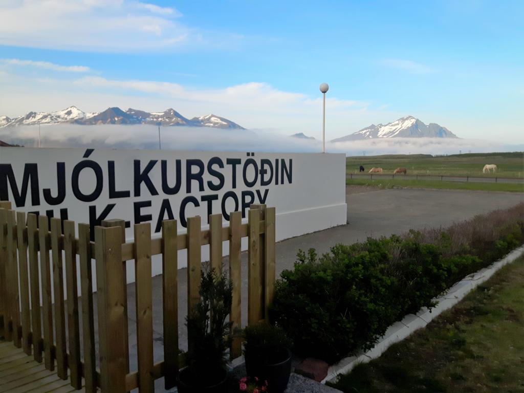 Milk Factory Bed & Breakfast Höfn Екстериор снимка